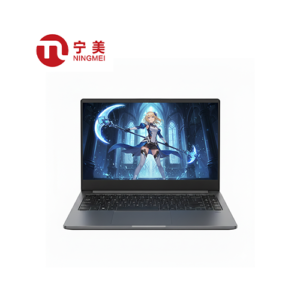 NLR500-R74165 (AMD Ryzen 5 7430U | 16GB | 512GB NVMe)