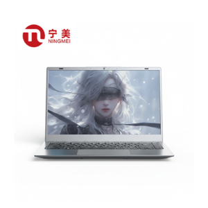 NLR100 30E082 (AMD 3020e | 8GB | 256GB)